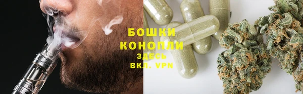 кокс Касимов