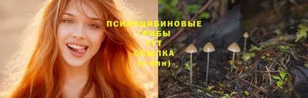 PSILOCYBIN Абинск